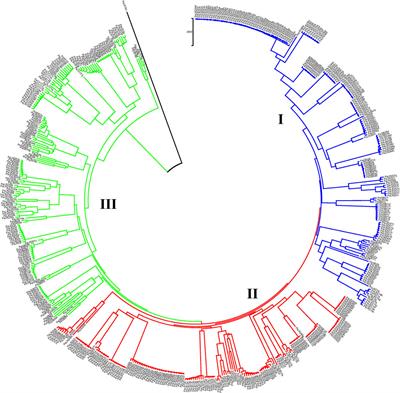 Genetic diversity and population structure analysis of a diverse panel of pea (Pisum sativum)